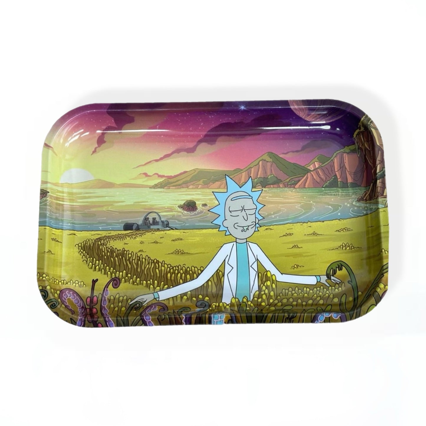 Rick n Morty  Rolling tray - medium