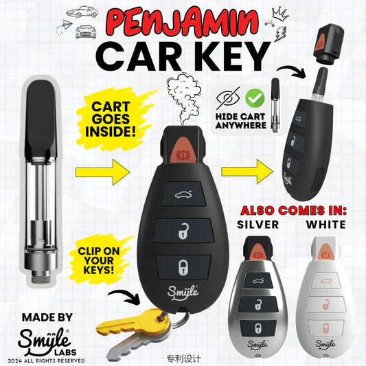 Car Key Penjamin 510 Battery by Smyle Labs™
