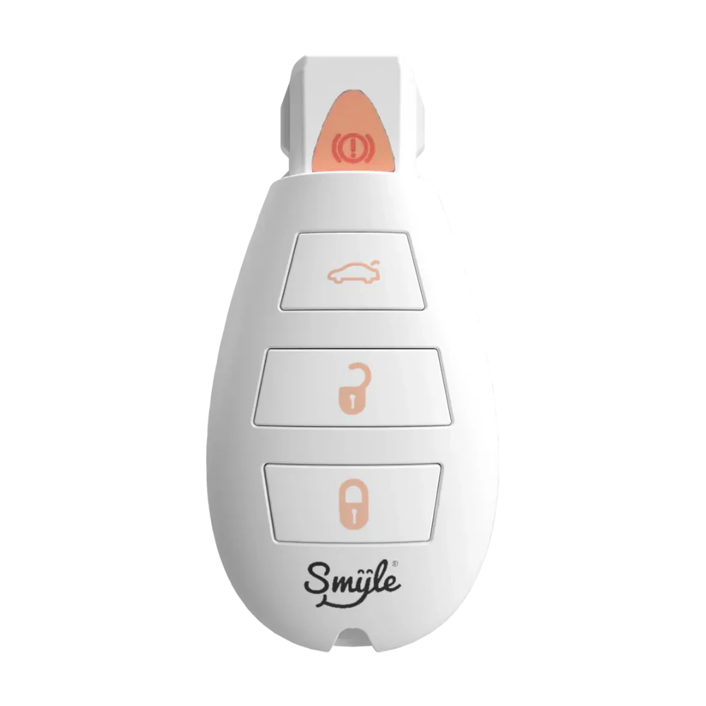 Car Key Penjamin 510 Battery by Smyle Labs™